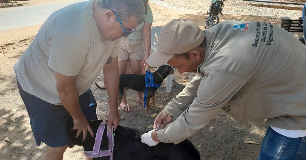 VACINAÇÃO EM GATOS E CACHORROS EM JANAÚBA: HOJE, QUARTA-FEIRA, DIA 23 DE SETEMBRO, SERÁ NOS BAIRROS NOVA ESPERANÇA (8H ÀS 10H30) E NOVO PARAÍSO (13H30 ÀS 16H) E AMANHÃ, QUINTA-FEIRA, NOS BAIRROS GAMELEIRA (MANHÃ) E PADRE EUSTÁQUIO (À TARDE)