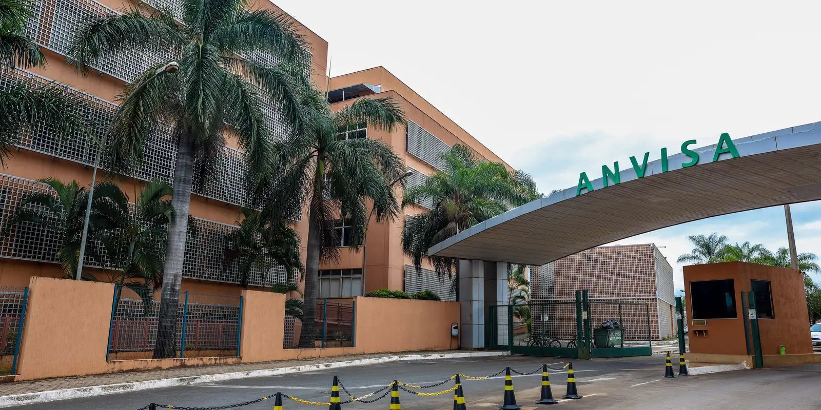 Anvisa alerta para venda irregular de tirzepatida em pó na internet - BSB Times