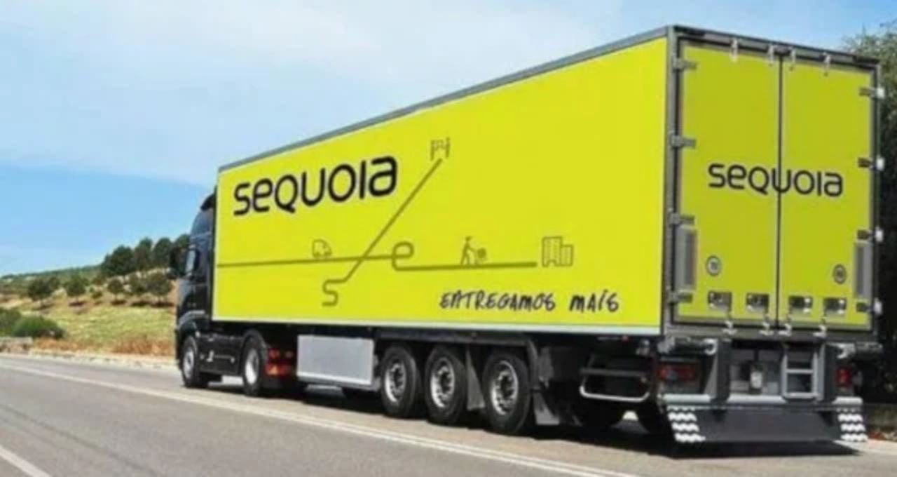 Sequoia (SEQL3) aprova grupamento de 150 ações para 1; veja os prazos