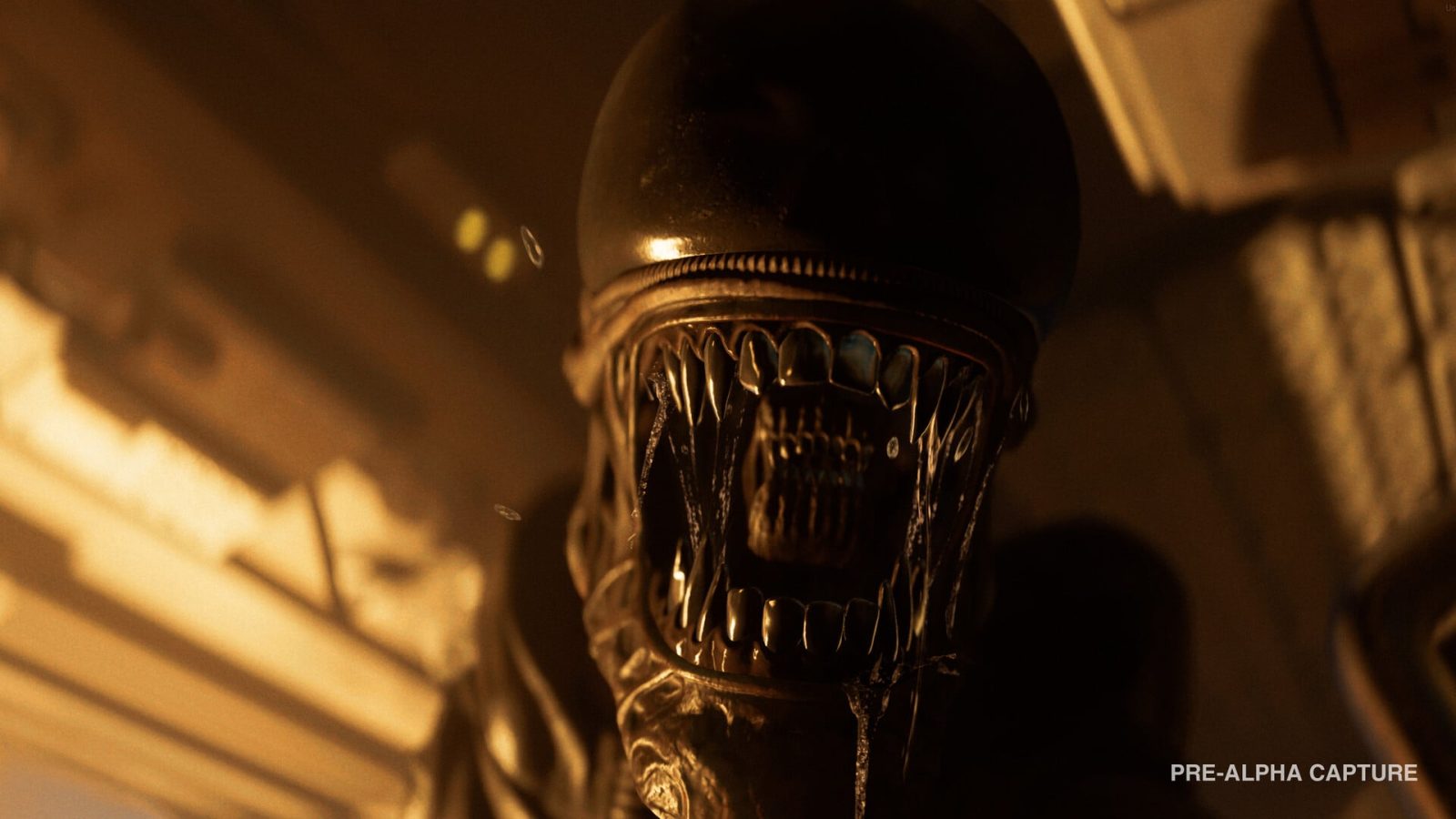 Como Alien: Isolation 2 pretende assustar até os veteranos? Diretor criativo explica na BGS 2026 – Pizza Fria