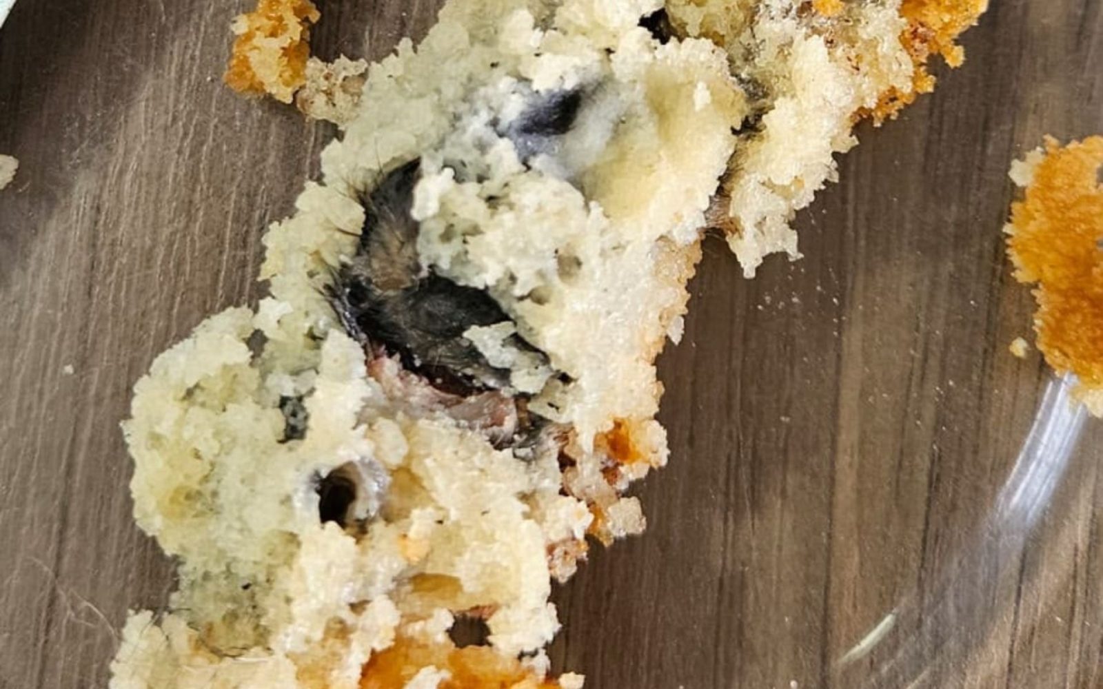 Rato morto dentro de bolo: Entenda os riscos à saúde após contato com roedor em alimentos