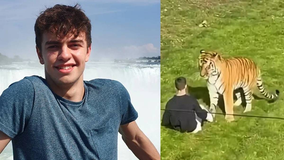 O que se sabe sobre morte de ator de 23 anos atacado por tigre em zoológico