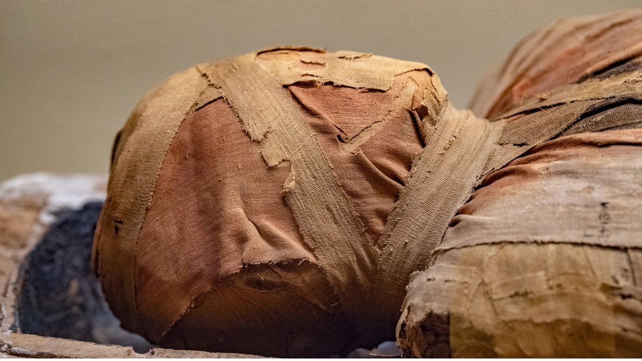 Museu retira múmias de exposição por falta de consentimento