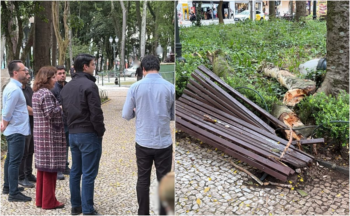 Praça Osório é fechada após nova queda de galho atingir jovem: “Será completamente revitalizada”, diz Eduardo Pimentel