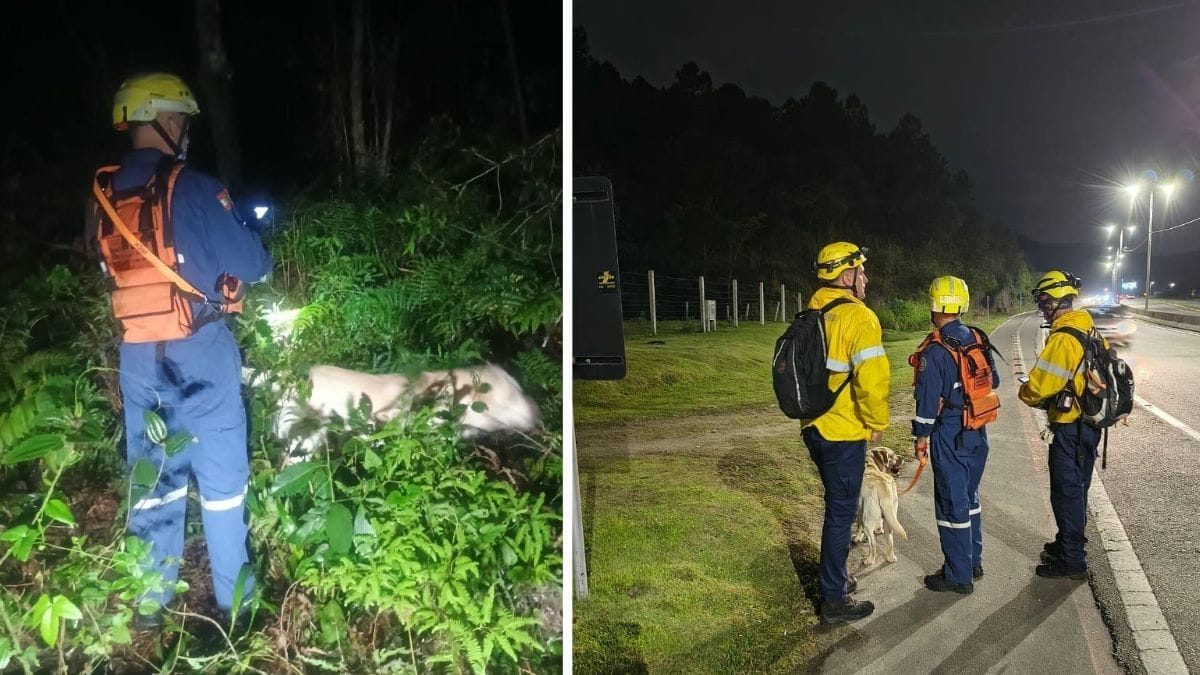 Homem desaparece após ser visto caminhando e é encontrado morto dois dias depois em Florianópolis